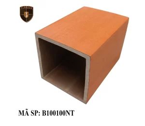 B100100 NT